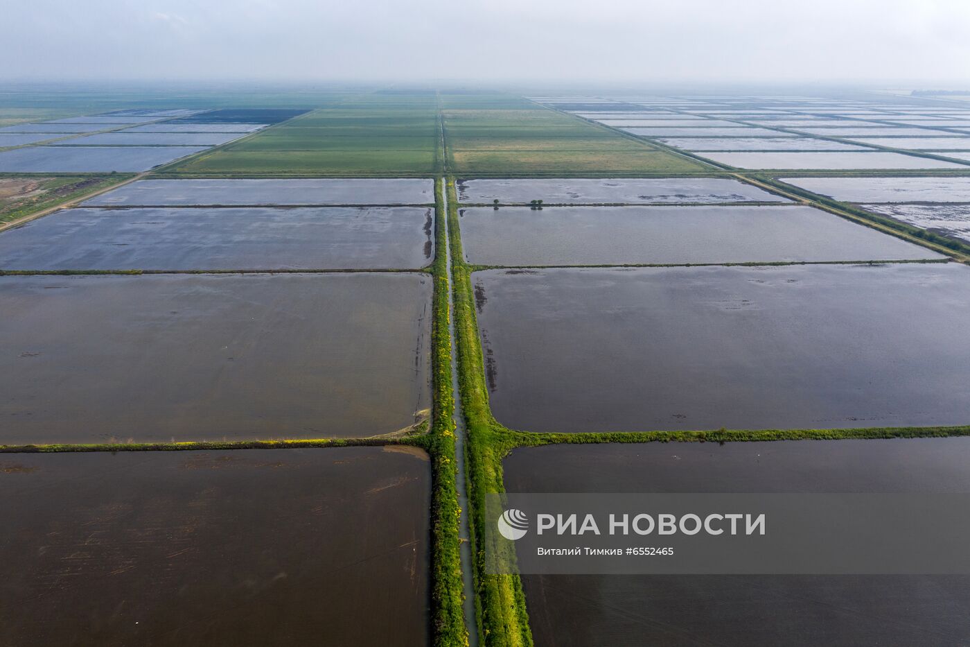 Рисовые чеки в Краснодарском крае