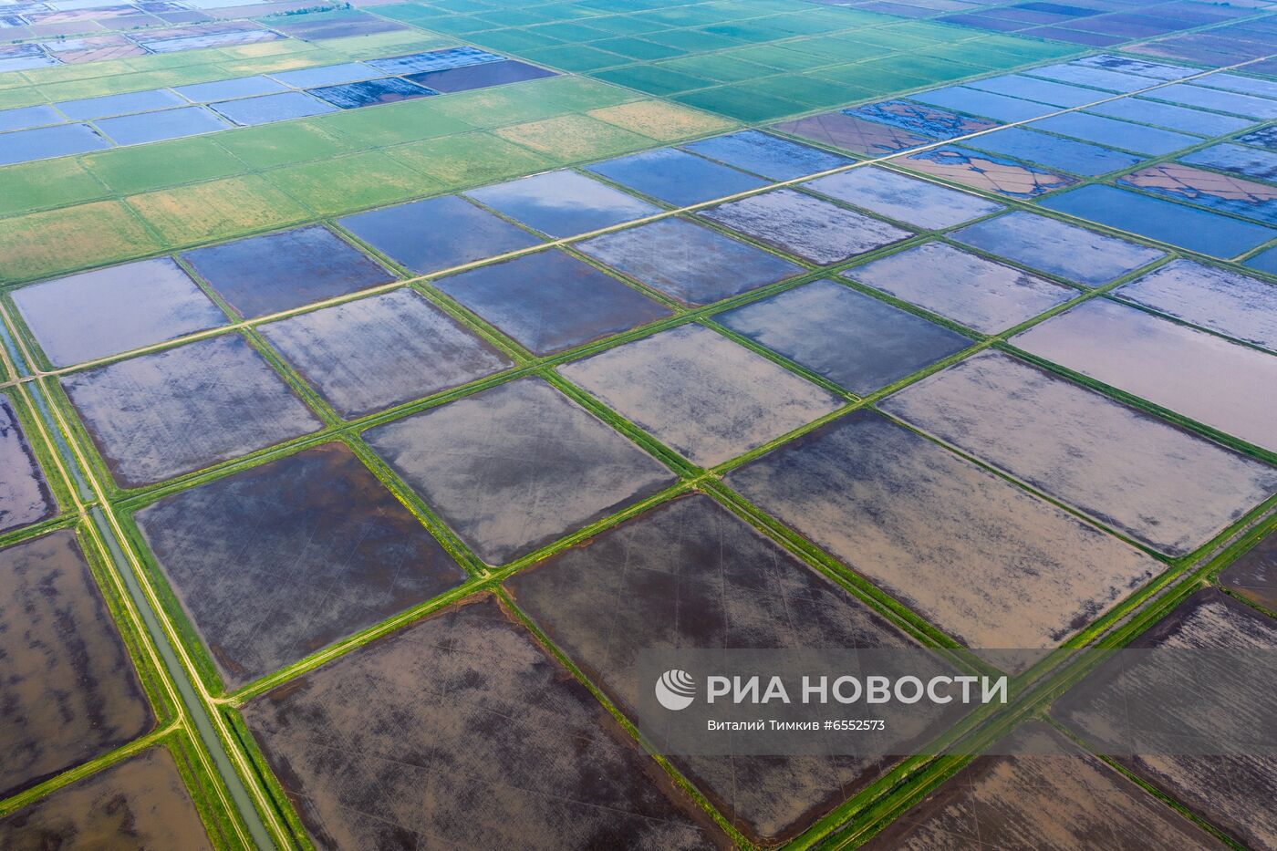 Рисовые чеки в Краснодарском крае