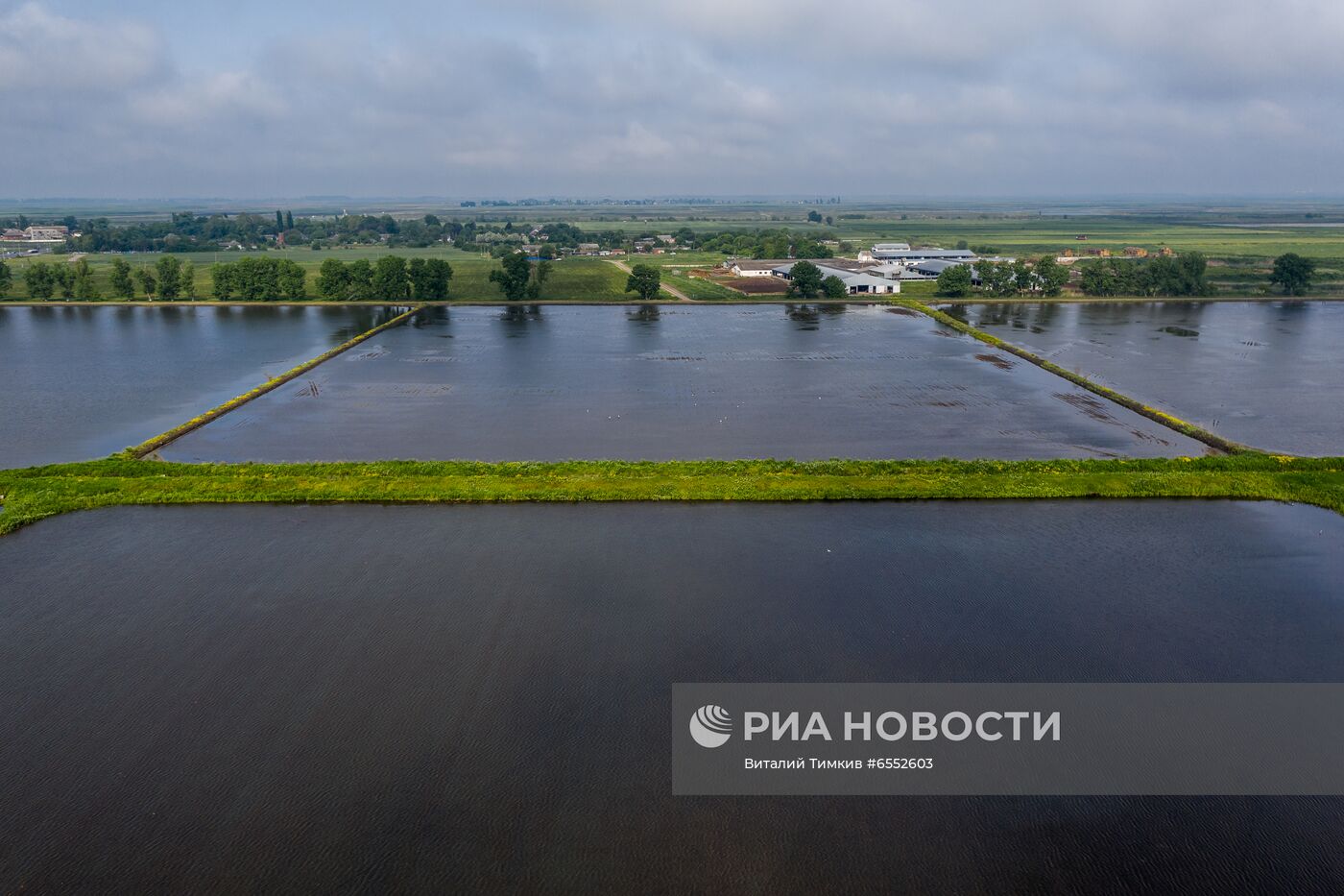 Рисовые чеки в Краснодарском крае