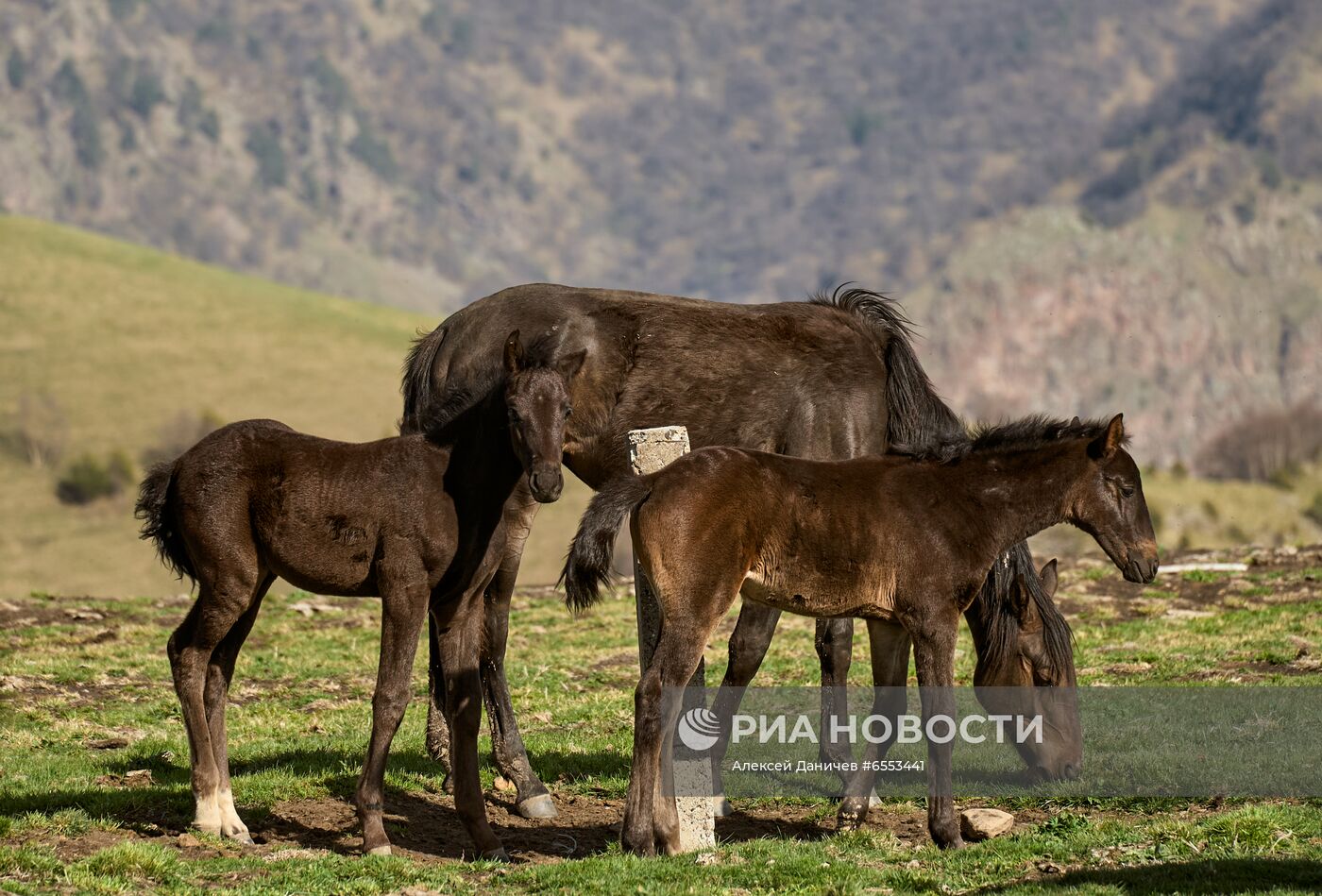 Национальный парк "Приэльбрусье"