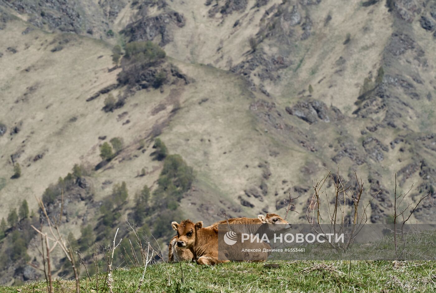 Национальный парк "Приэльбрусье"