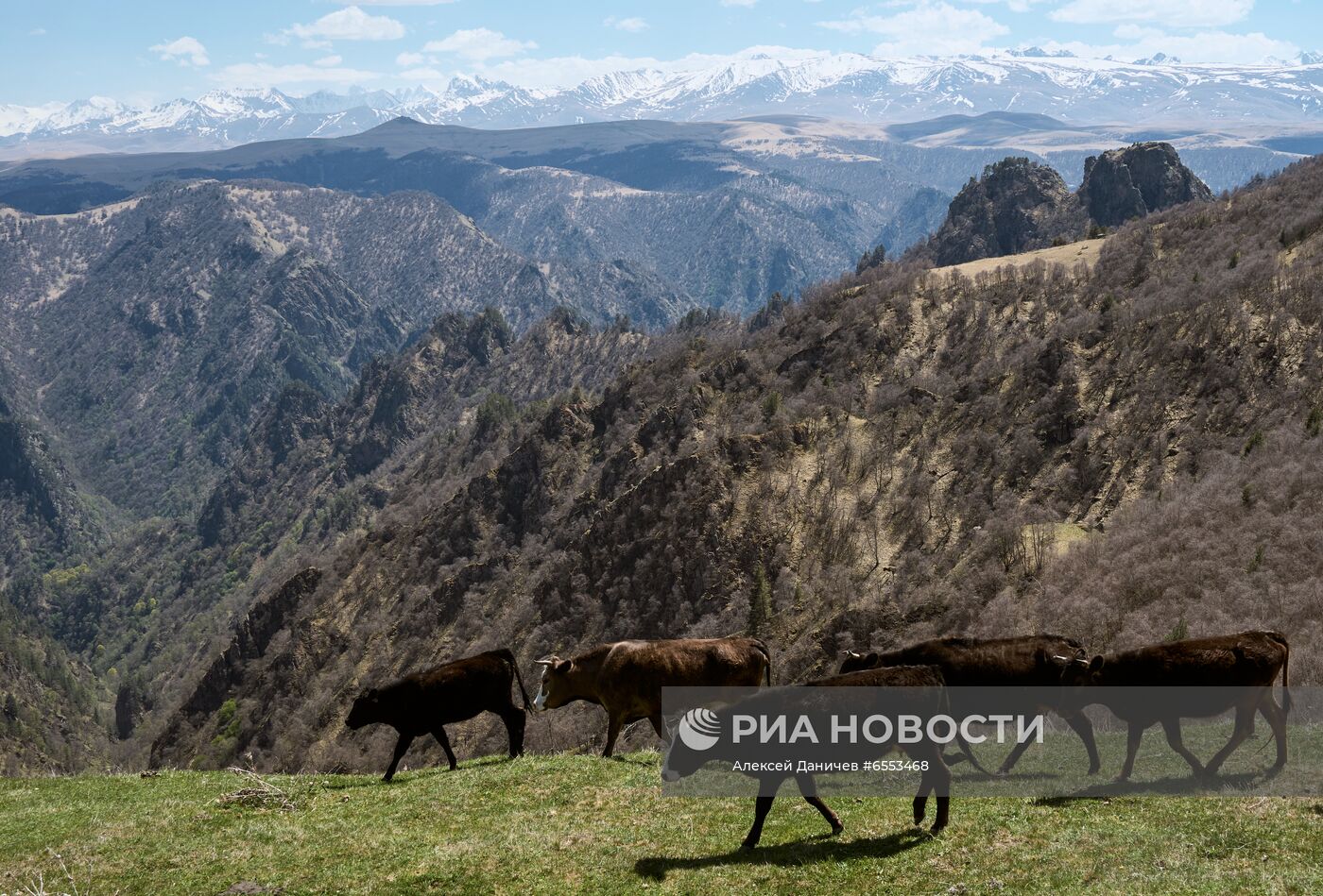 Национальный парк "Приэльбрусье"