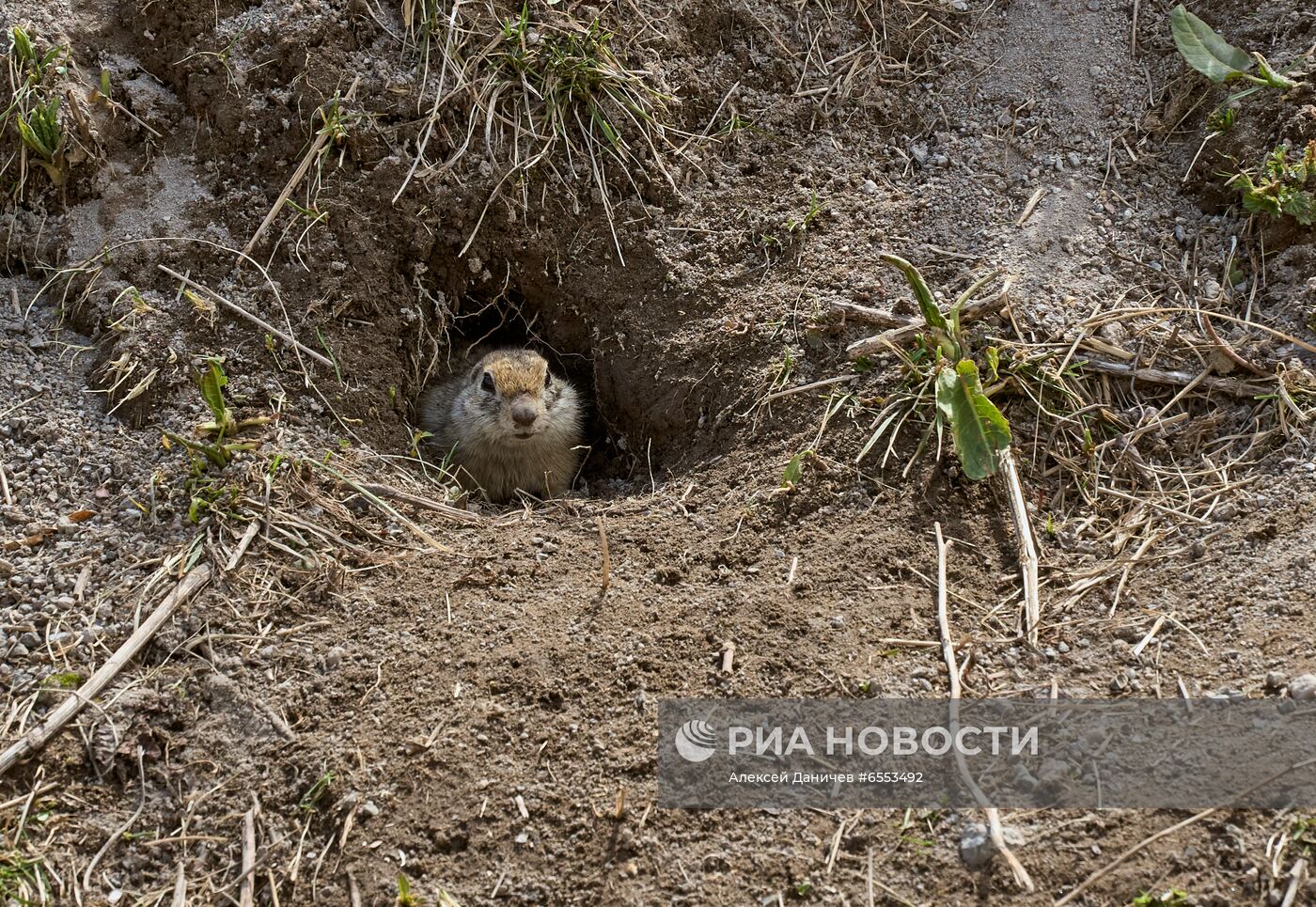 Национальный парк "Приэльбрусье"