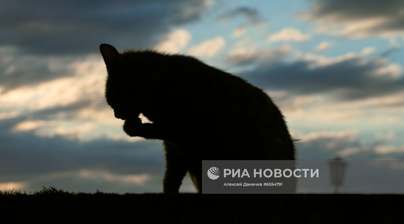 Курортные города региона Кавказские Минеральные Воды