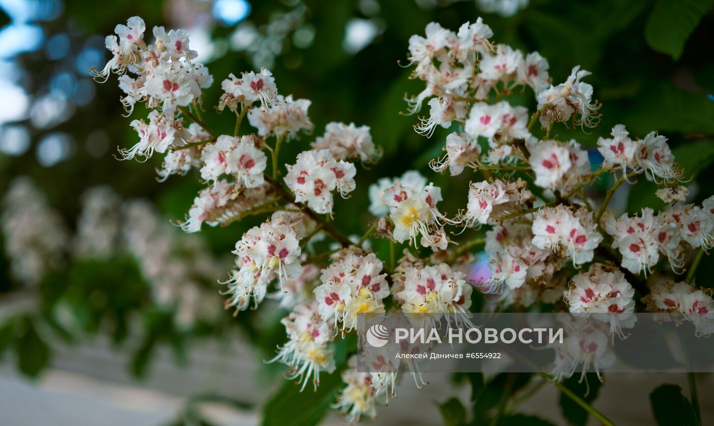 Курортные города региона Кавказские Минеральные Воды