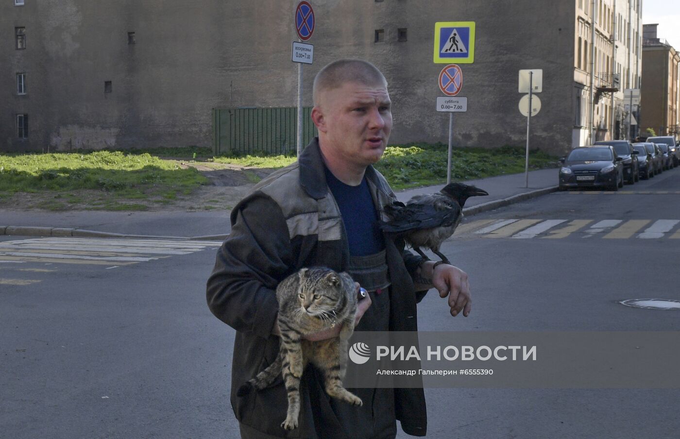 Трое из Коломны: петербуржец, кот и ворона