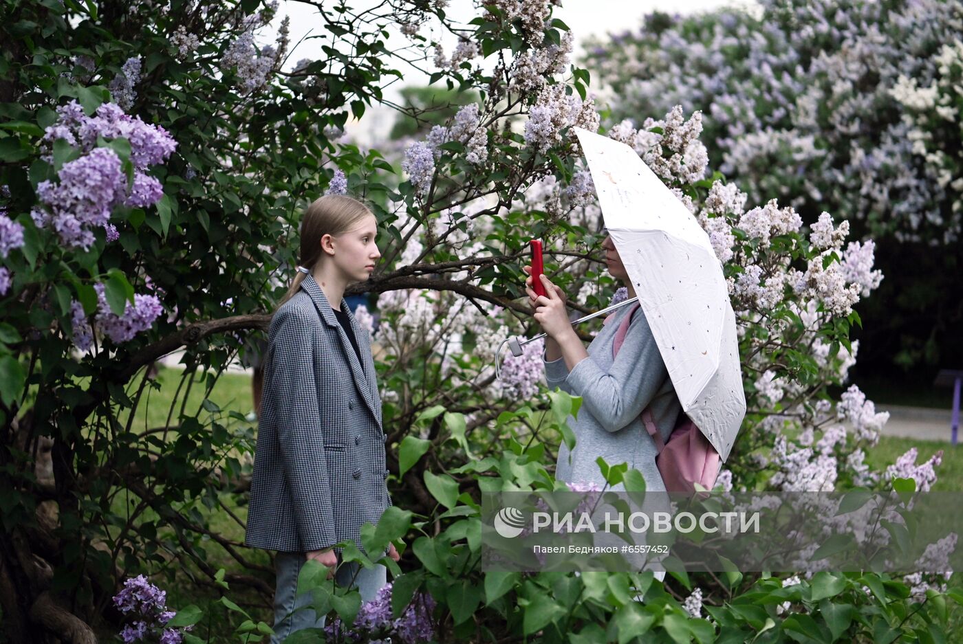 Парк "Сиреневый сад" в Москве