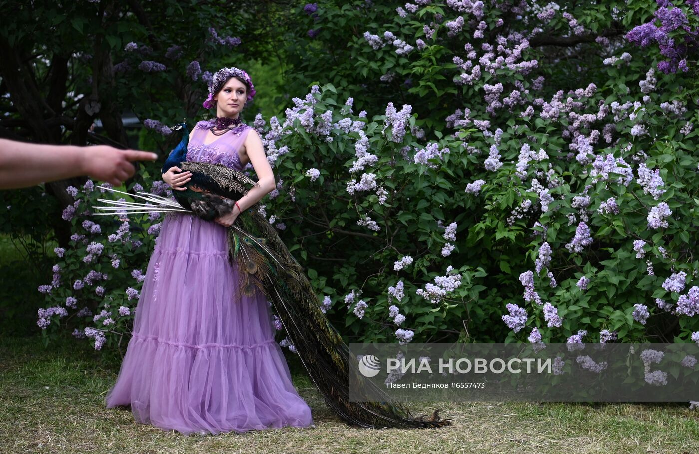 Парк "Сиреневый сад" в Москве