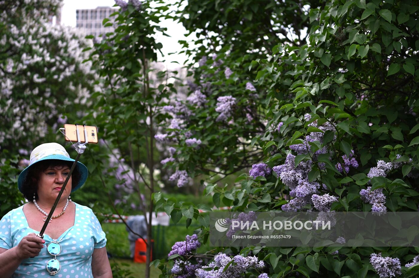 Парк "Сиреневый сад" в Москве