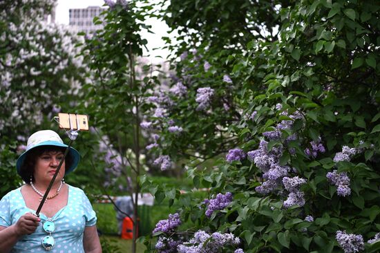 Парк "Сиреневый сад" в Москве