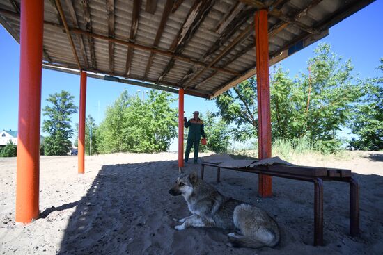 Проверка пляжа "Локомотив" в Казани на готовность к летнему сезону