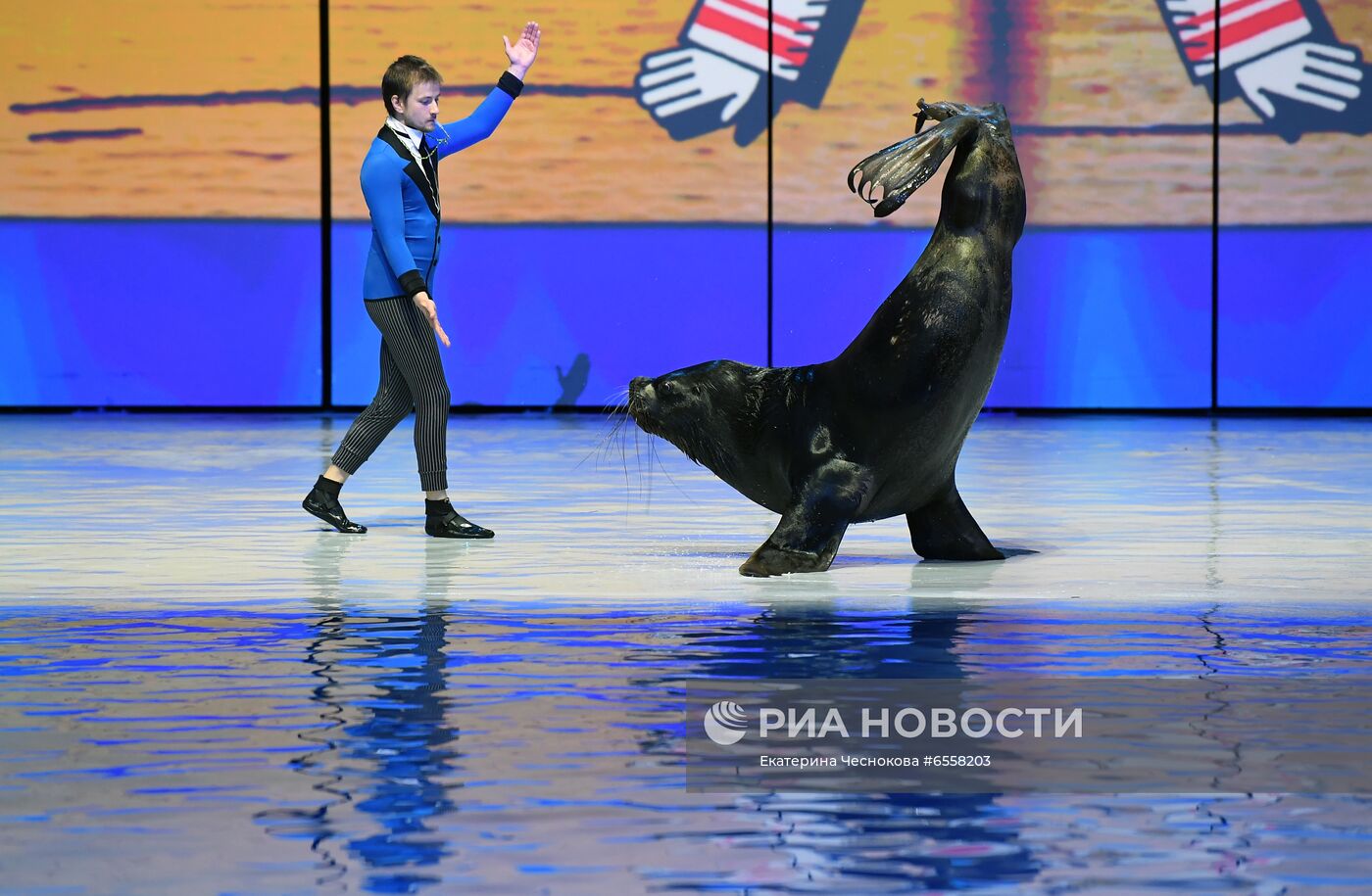 Презентация шоу "Сон в летнюю ночь" в Москвариуме