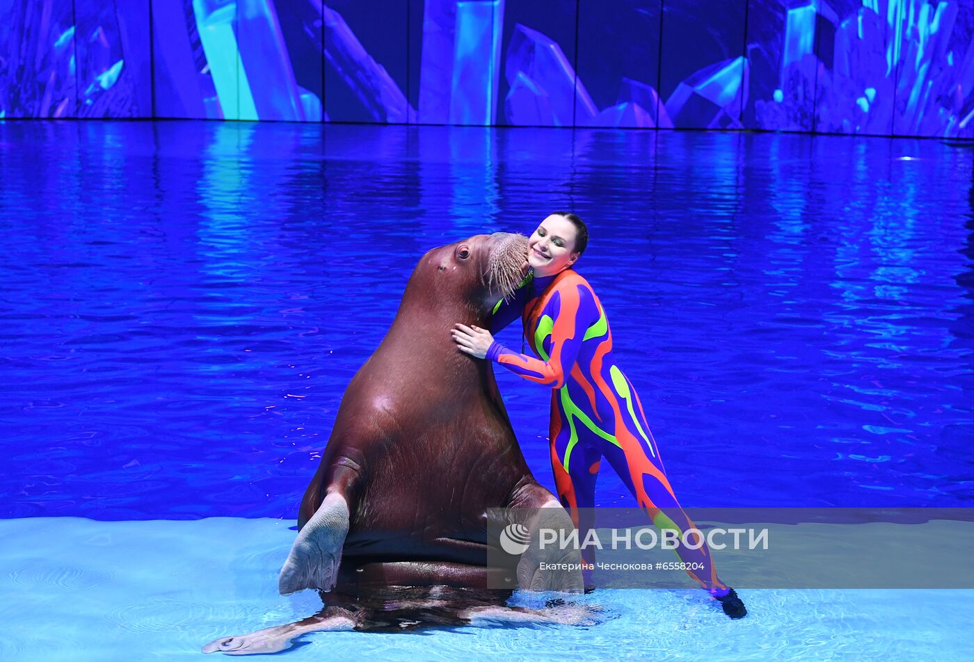 Презентация шоу "Сон в летнюю ночь" в Москвариуме