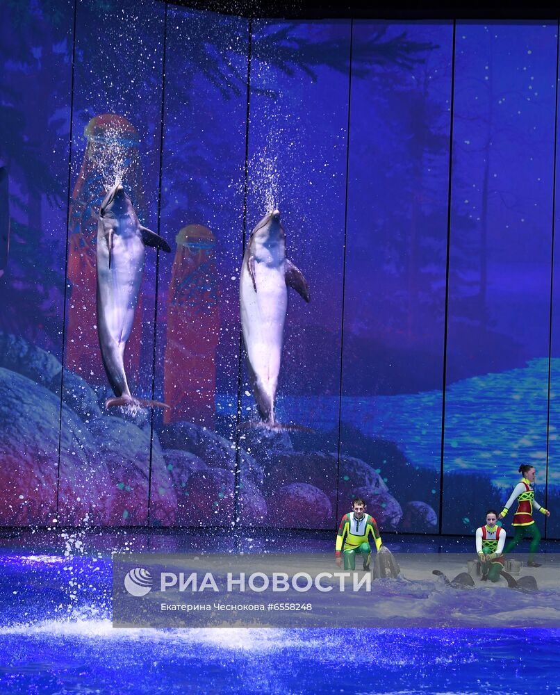 Презентация шоу "Сон в летнюю ночь" в Москвариуме