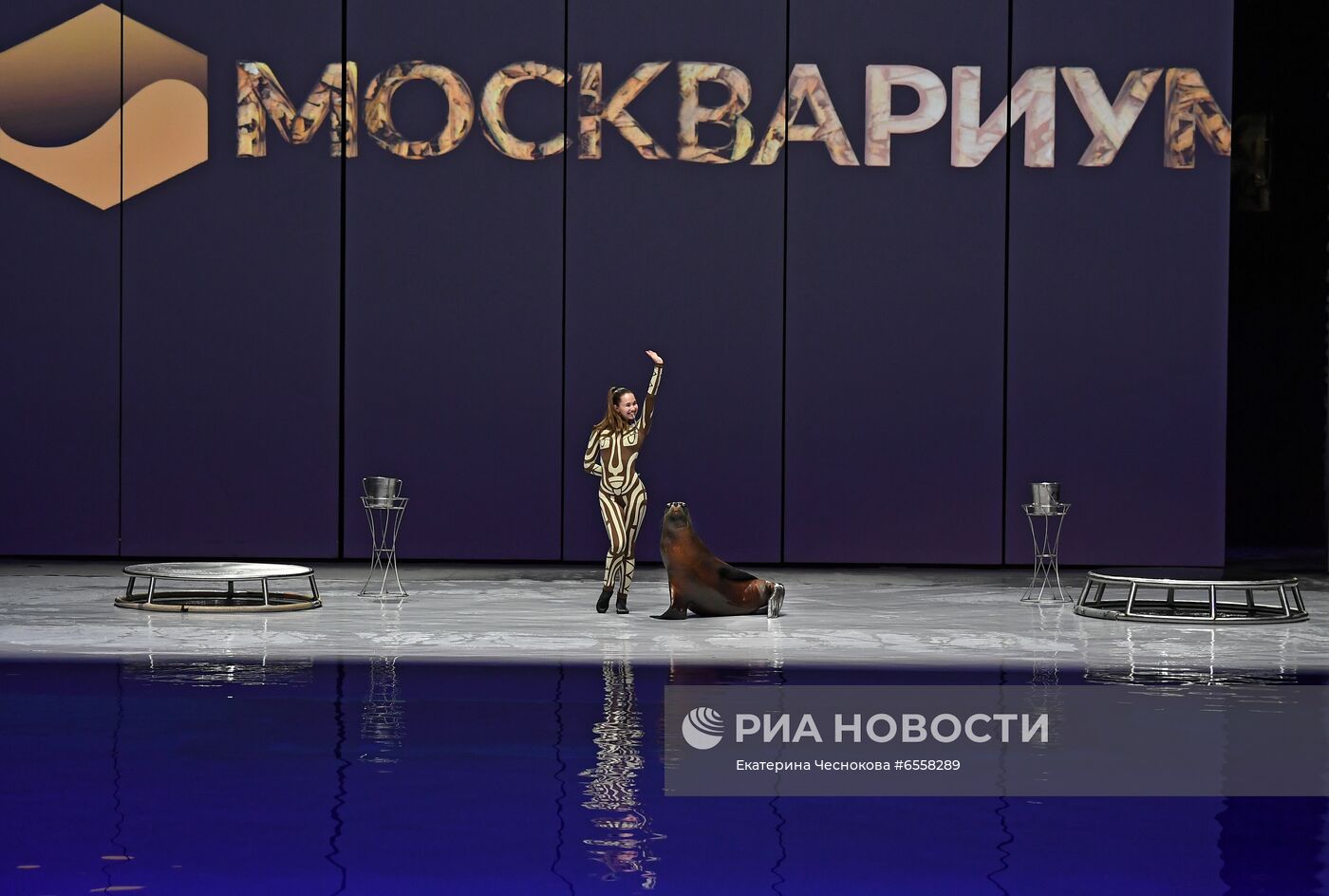 Презентация шоу "Сон в летнюю ночь" в Москвариуме