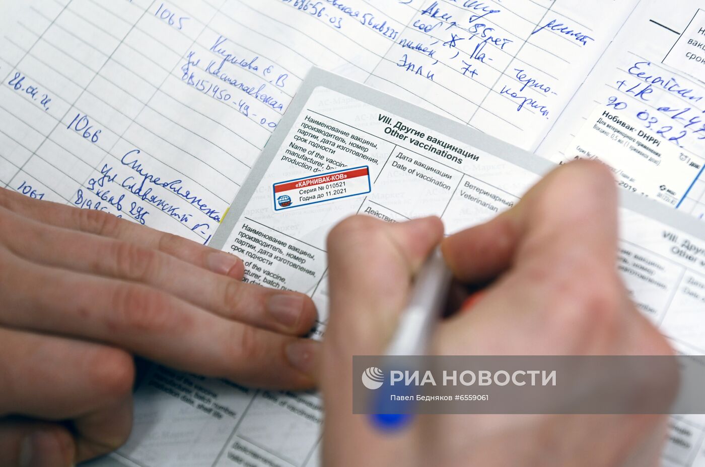 Вакцинация животных от COVID-19