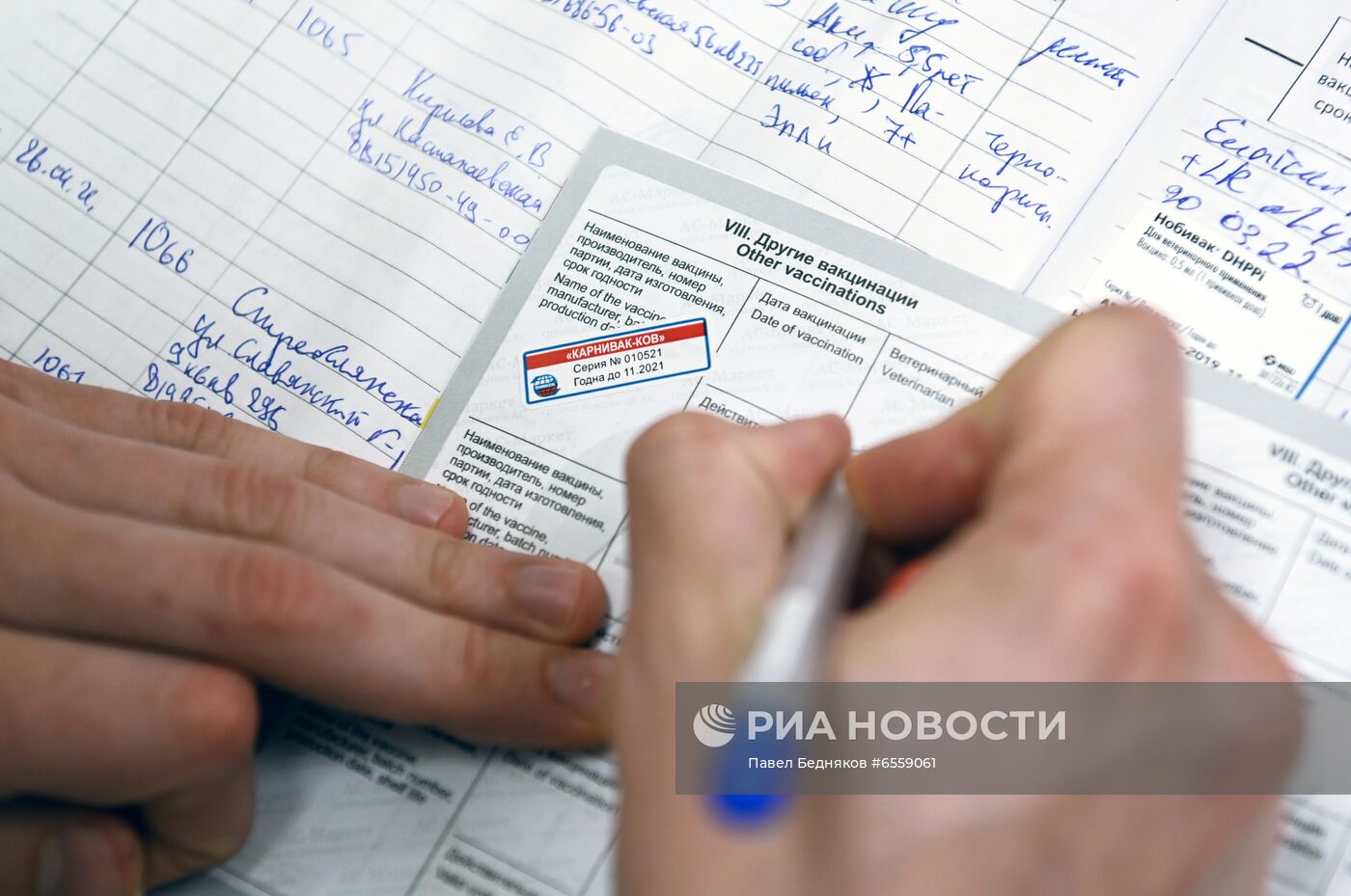 Вакцинация животных от COVID-19 