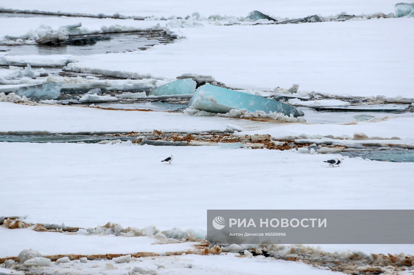 Ледоход на реке Енисей