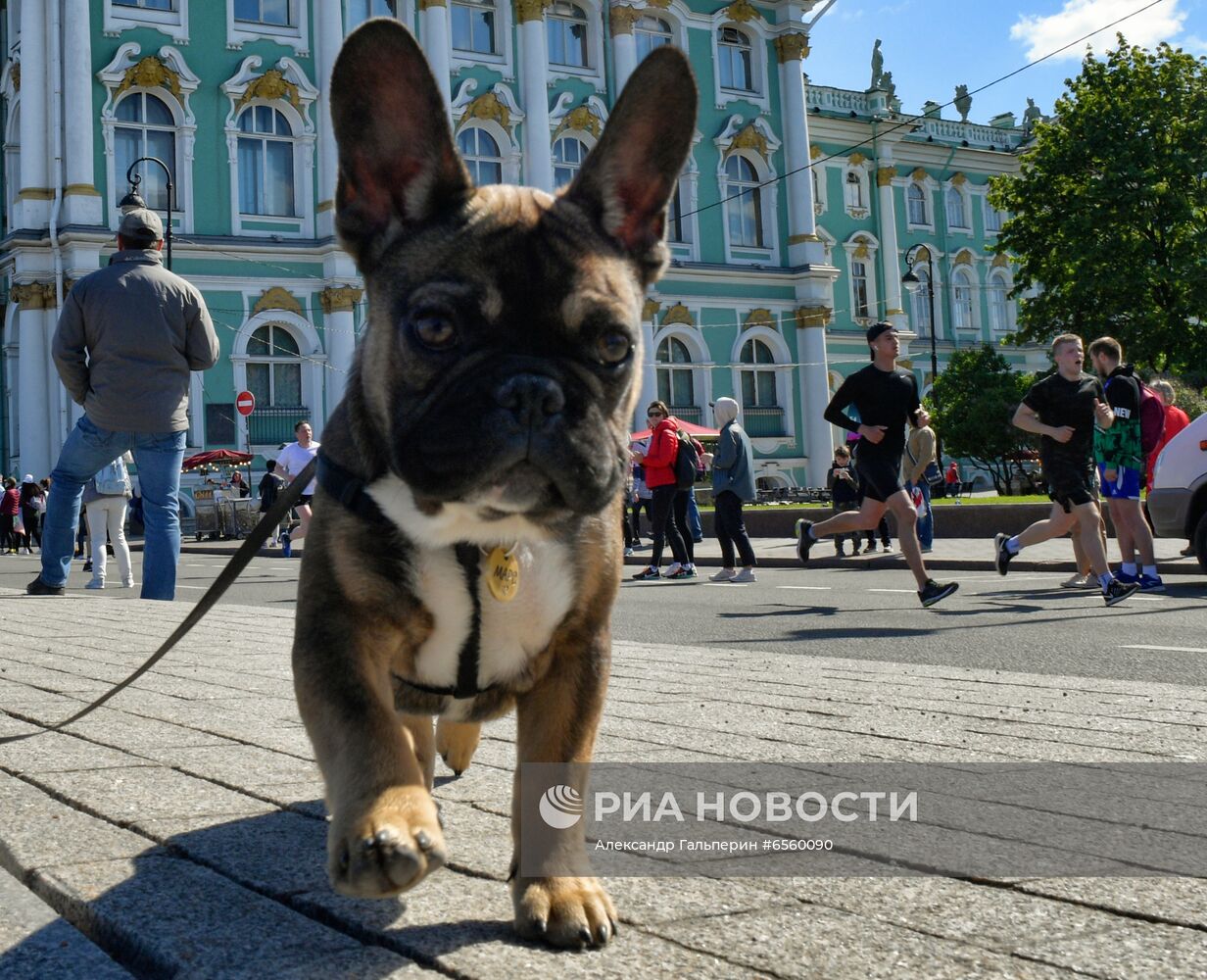V Всероссийский полумарафон "ЗаБег.РФ"