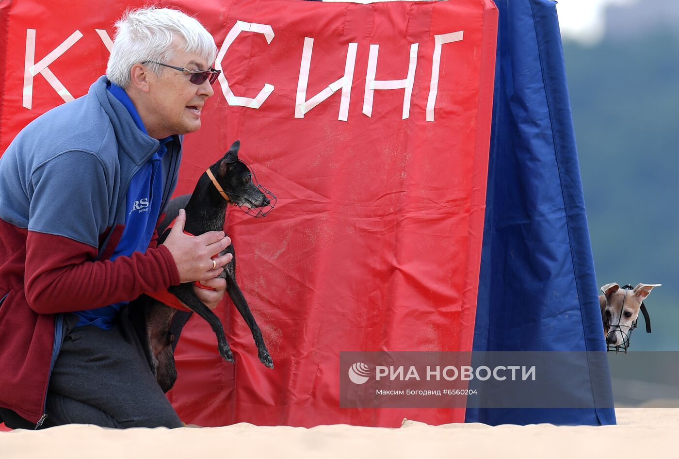 Чемпионат РКФ по бегу собак за механической приманкой