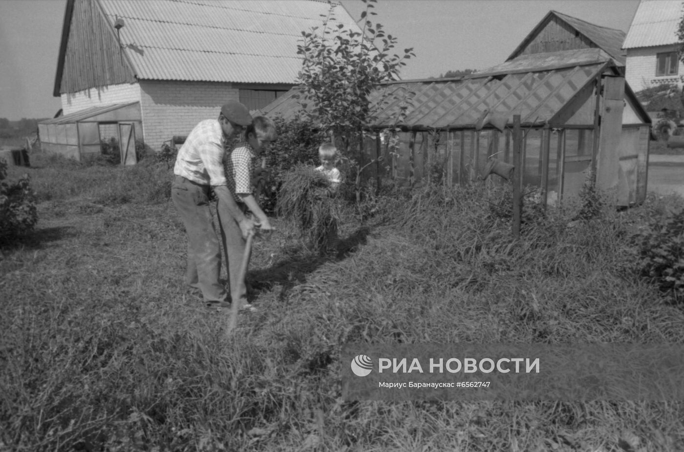 Фермерское движение в СССР