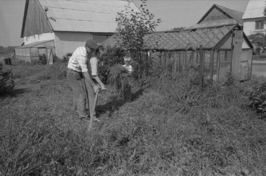 Фермерское движение в СССР