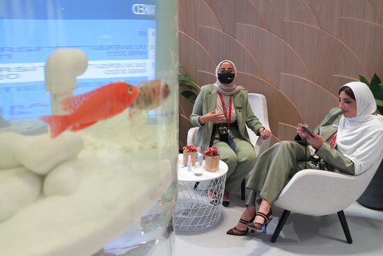 ПМЭФ-2021. Работа форума