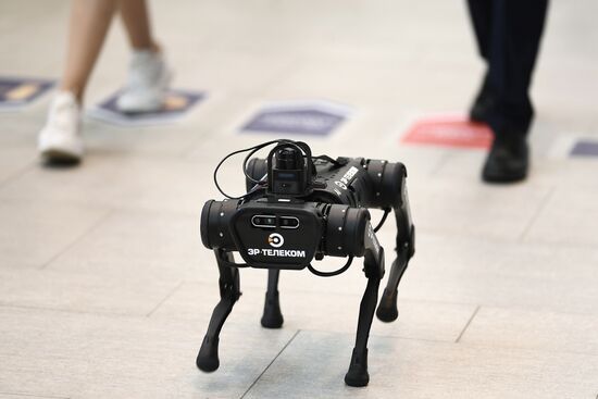 ПМЭФ-2021. Работа форума 