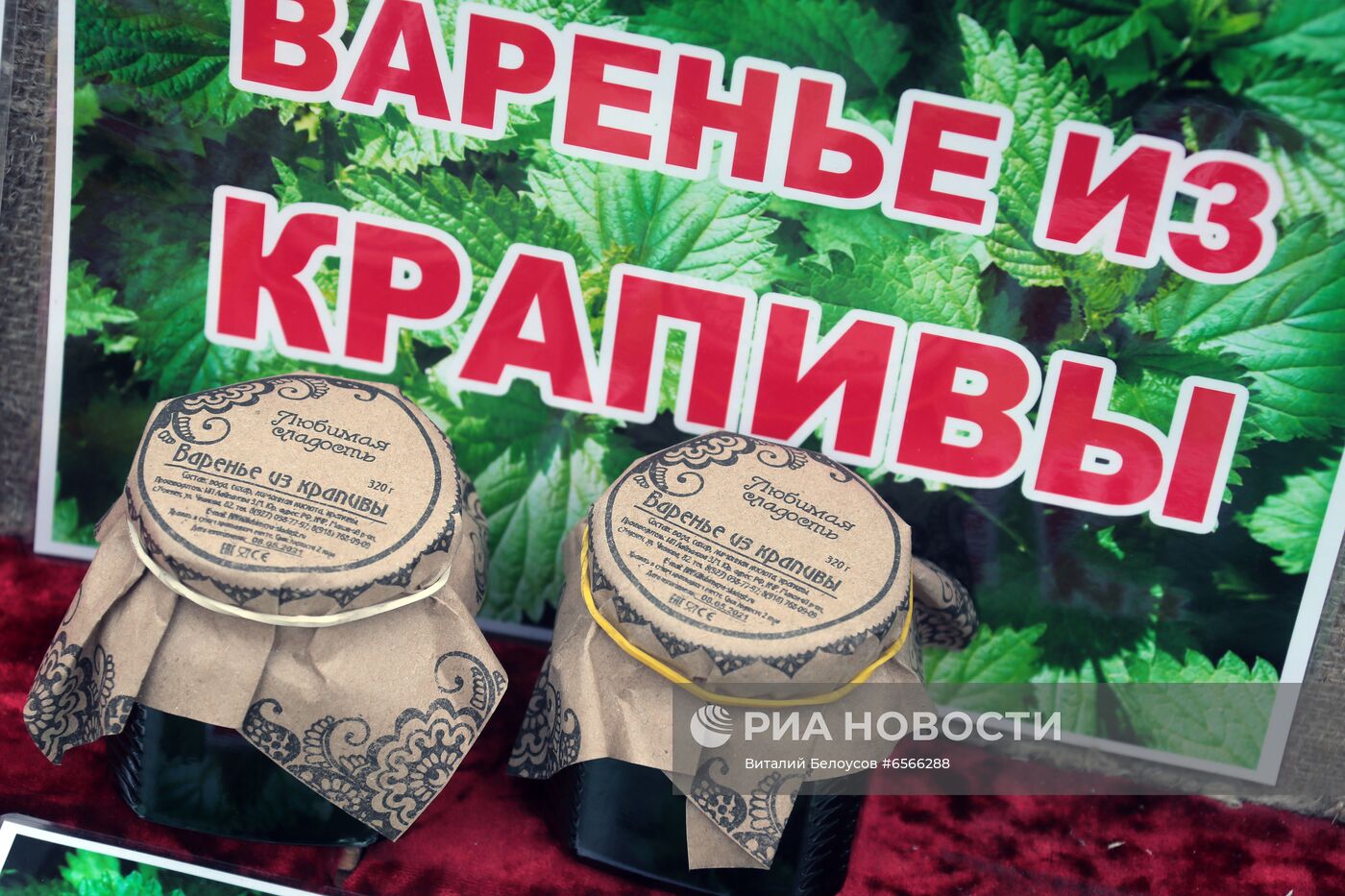 XVIII Международный фестиваль крапивы