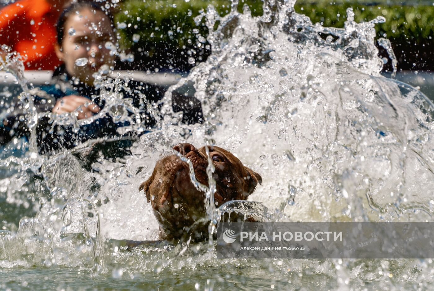 Фестиваль Petshop Days в Санкт-Петербурге