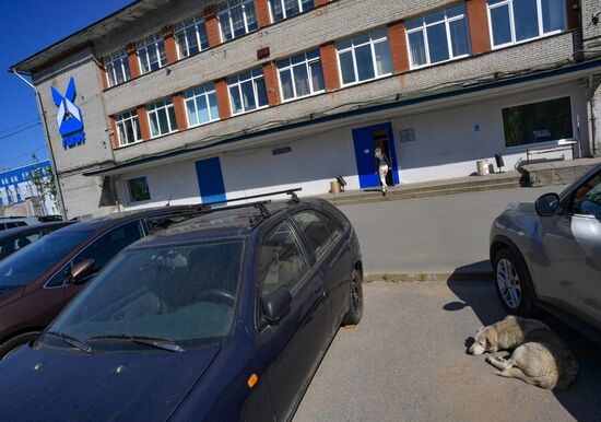 Поселок Кузьмолово в Ленинградской области