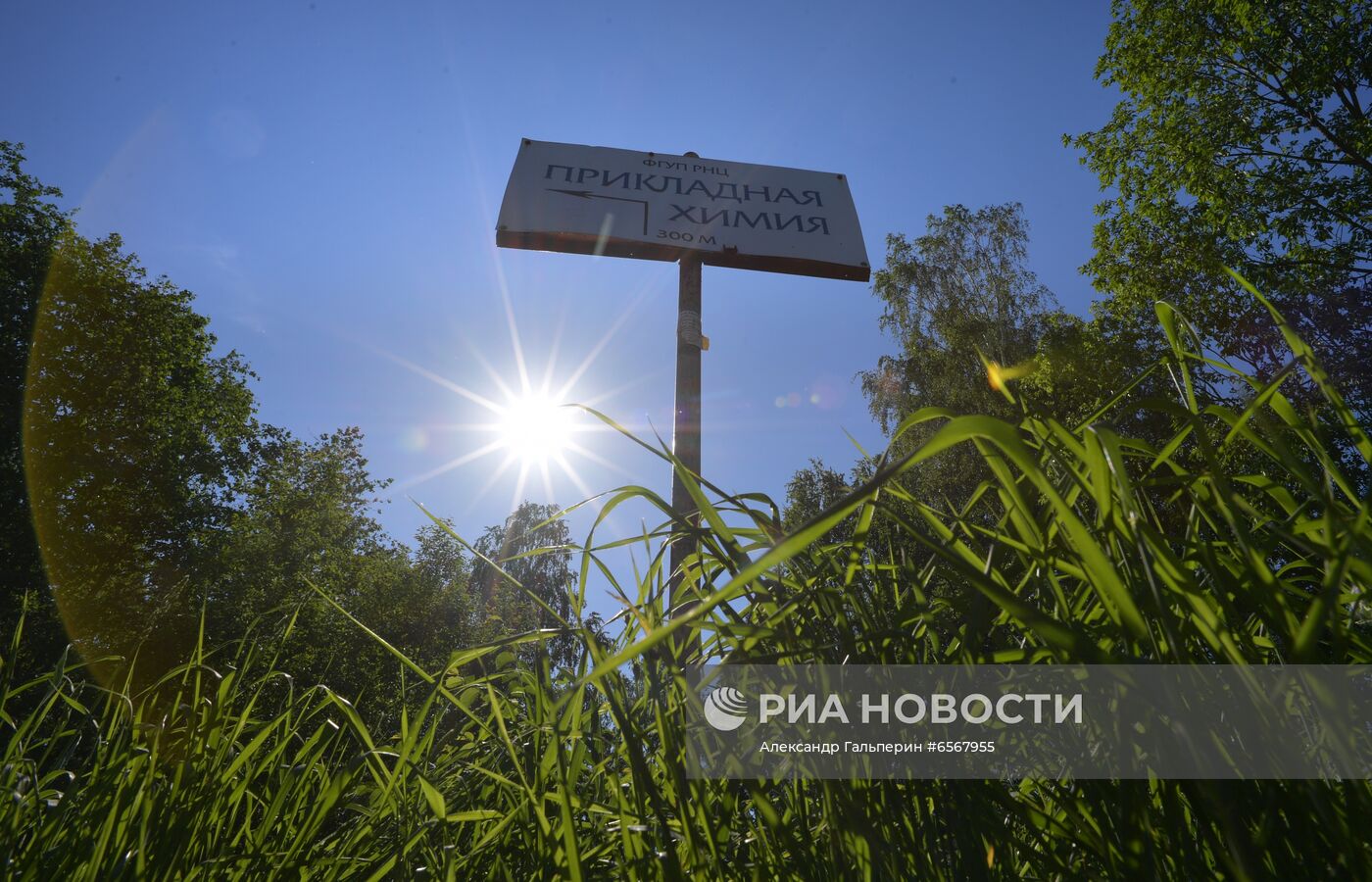 Поселок Кузьмолово в Ленинградской области