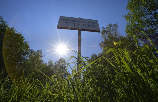 Поселок Кузьмолово в Ленинградской области