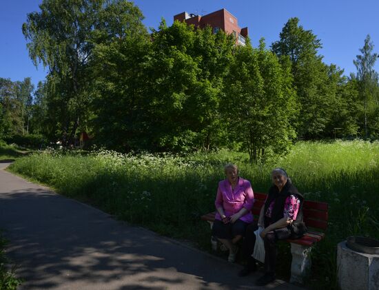 Поселок Кузьмолово в Ленинградской области
