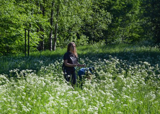 Поселок Кузьмолово в Ленинградской области