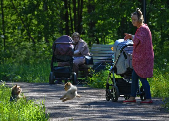 Поселок Кузьмолово в Ленинградской области
