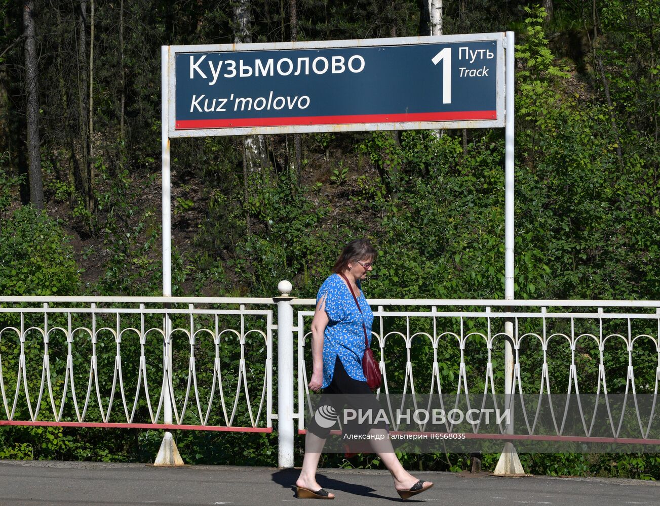 Поселок Кузьмолово в Ленинградской области