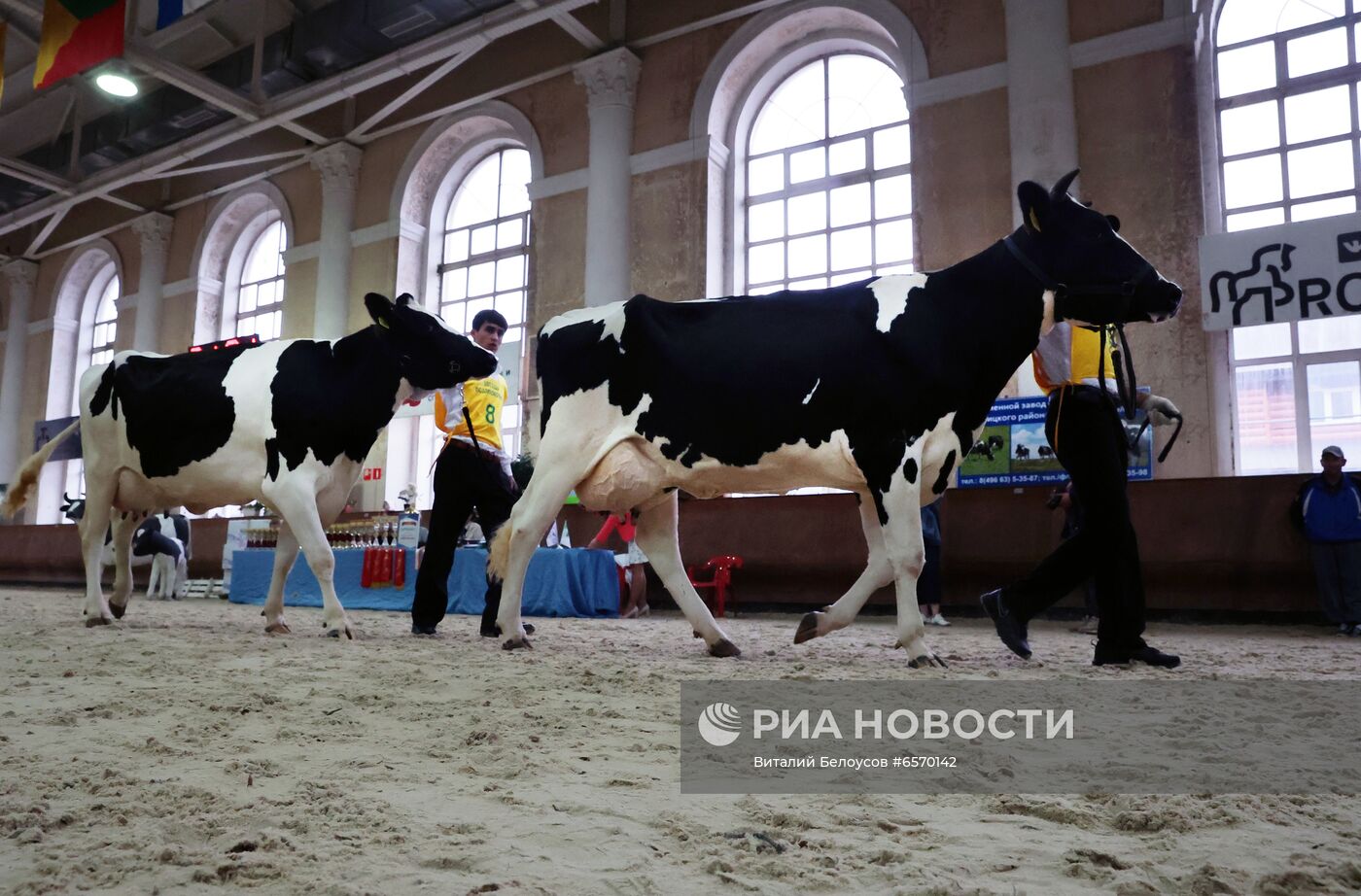 Выставка племенных животных "Звезды Подмосковья  2021" 