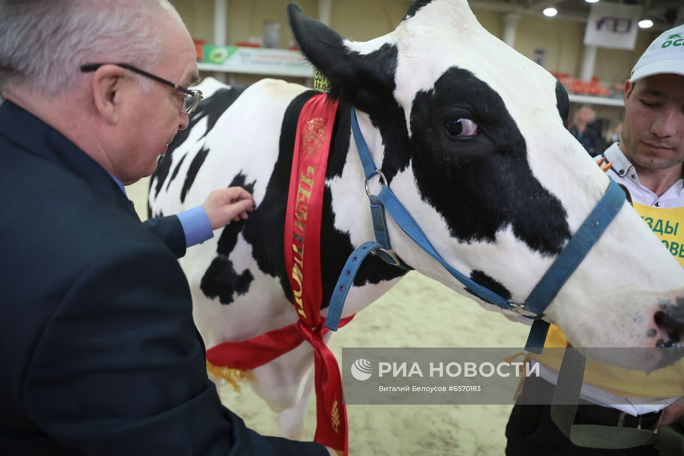Выставка племенных животных "Звезды Подмосковья  2021" 