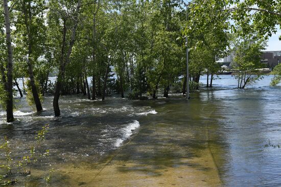 Половодье в Красноярске