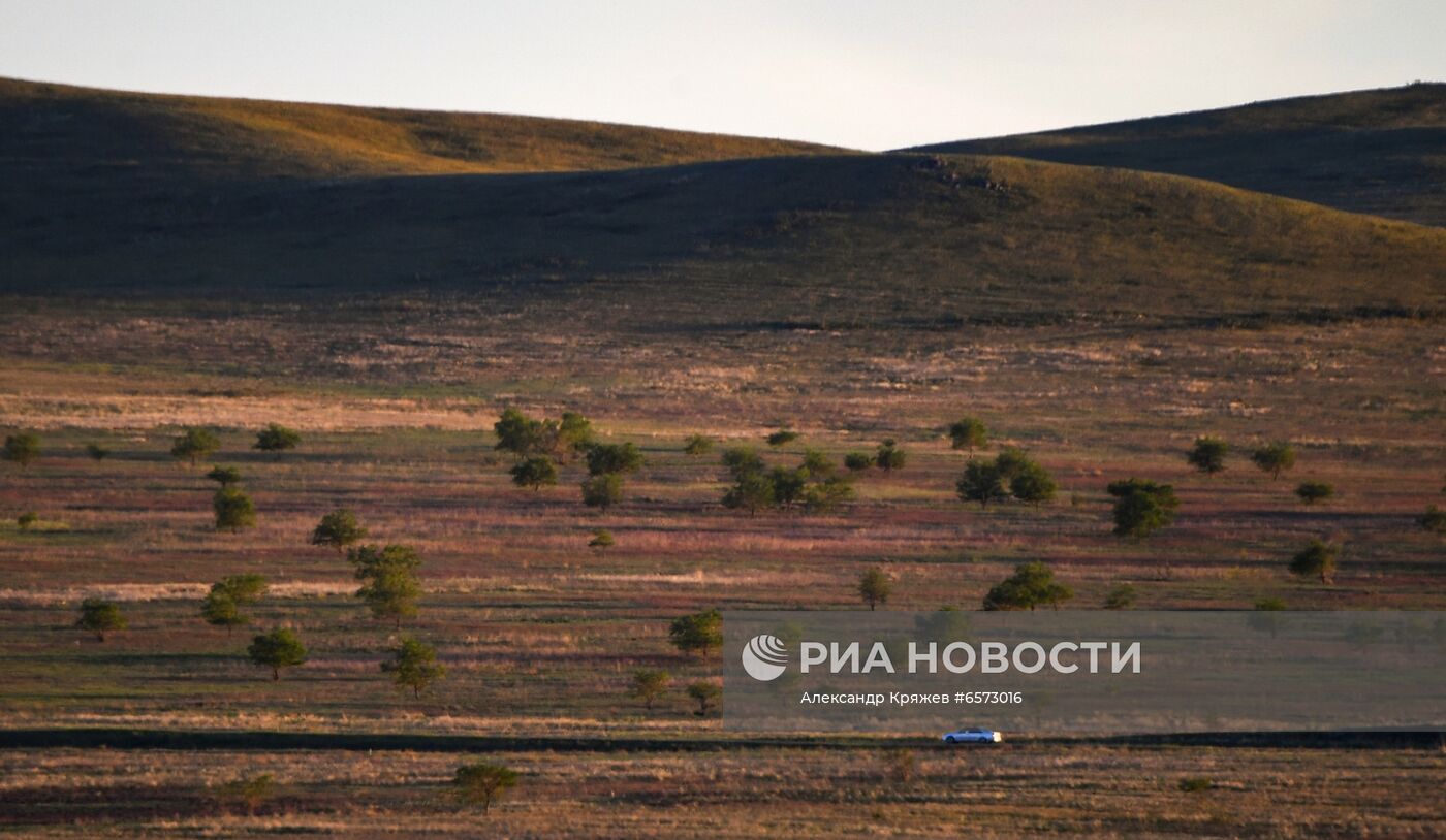 Работа орнитологов по возрождению алтайского сокола-балобана