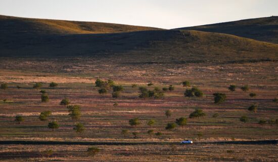 Работа орнитологов по возрождению алтайского сокола-балобана
