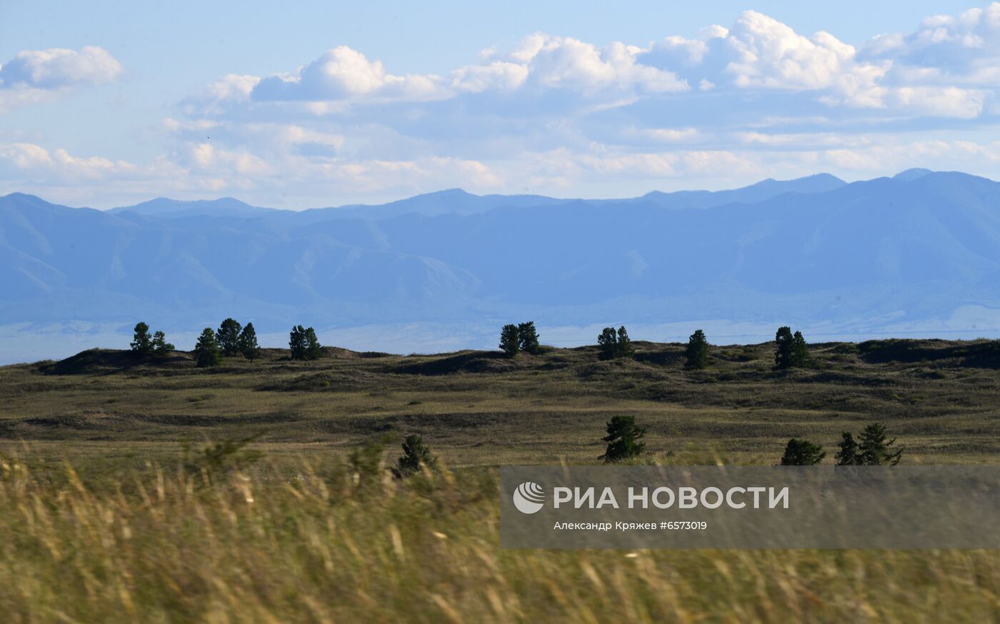 Работа орнитологов по возрождению алтайского сокола-балобана