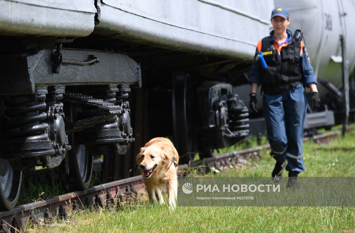Кинологическая служба МЧС России