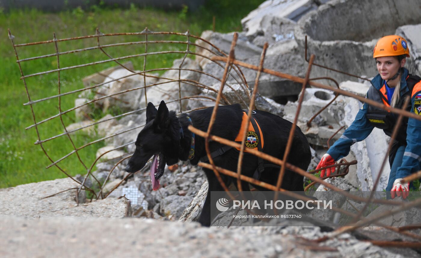 Кинологическая служба МЧС России