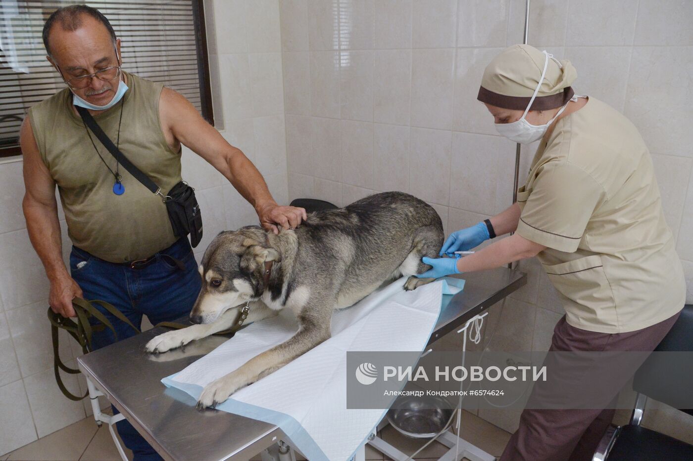 Вакцинация домашних животных от COVID-19 в Челябинске