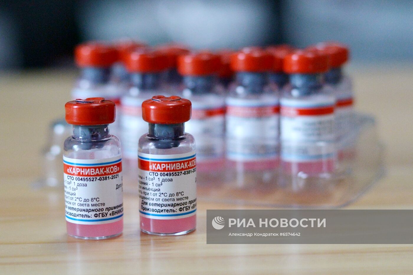 Вакцинация домашних животных от COVID-19 в Челябинске