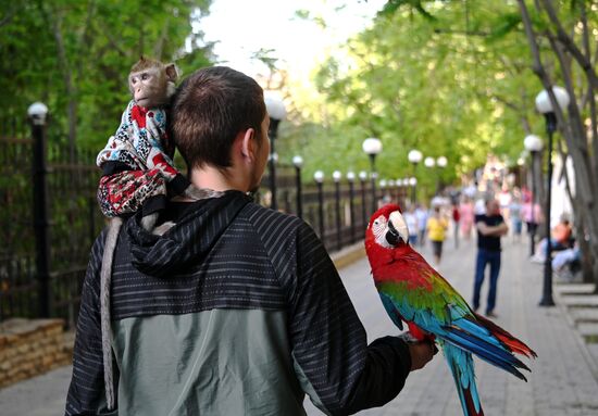 Города России. Белокуриха 