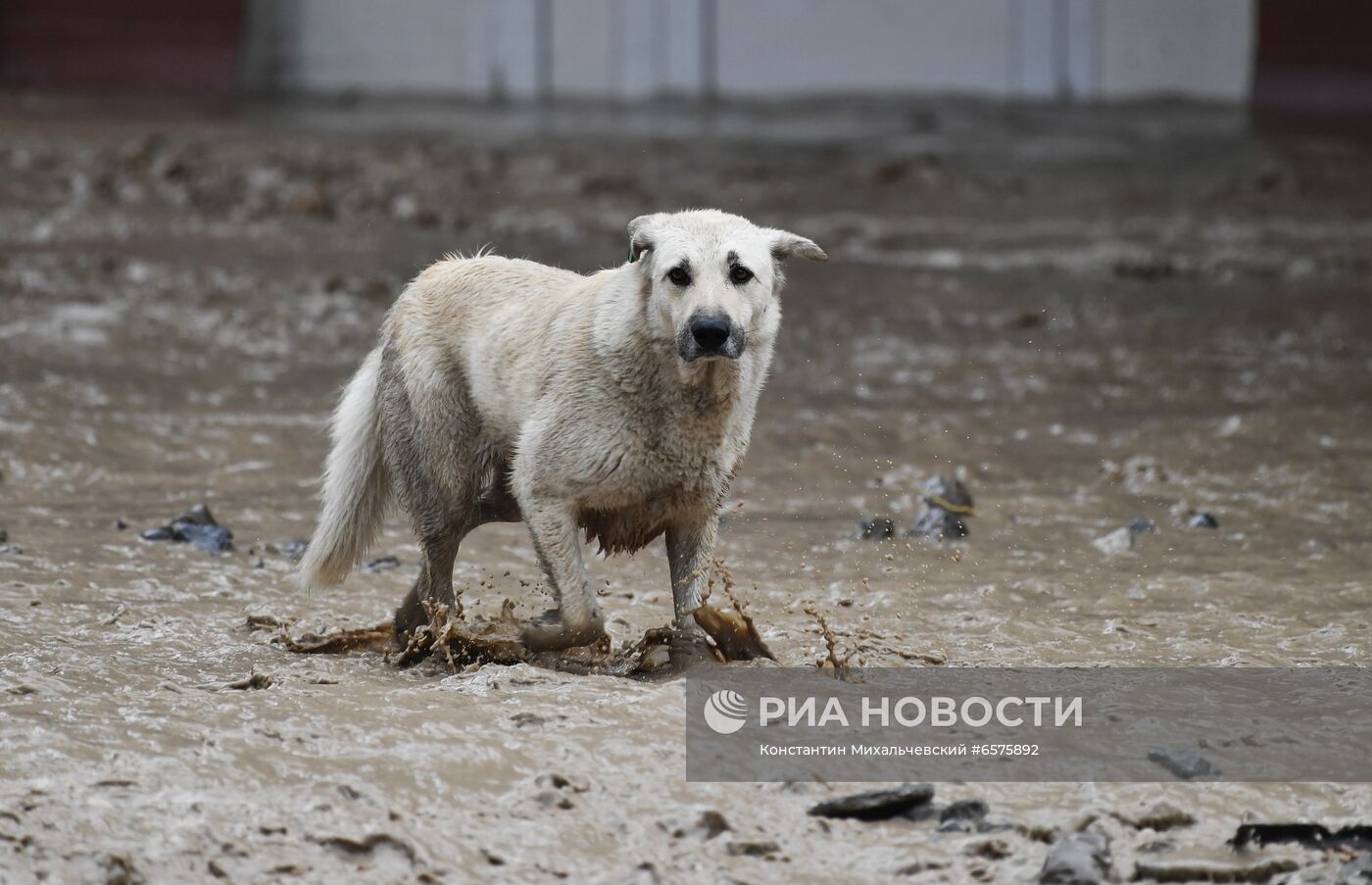 Подтопления в Ялте после ливней