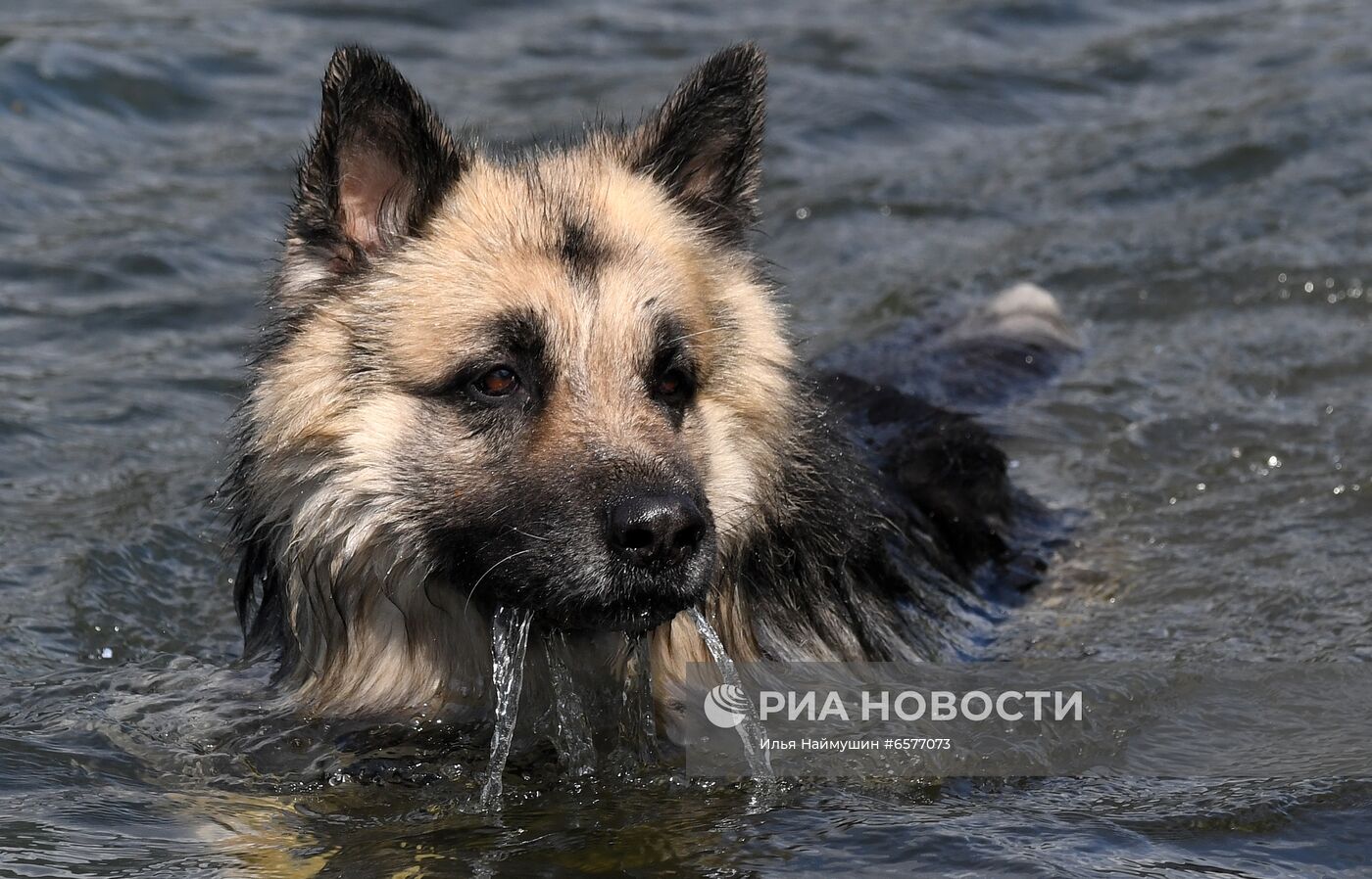 Жаркая погода в Красноярском крае